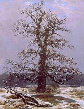 Caspar David Friedrich Dab na sniegu oil painting picture